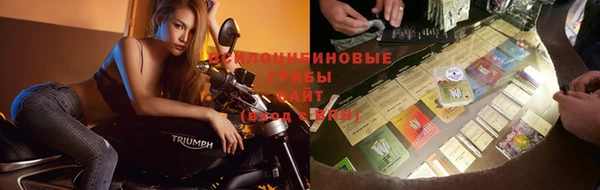 гашик Магадан