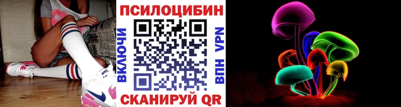 Галлюциногенные грибы мухоморы  Купить закладки  Заводоуковск 